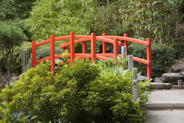 Comment se préparer à la transition vers la pratique privée en tant que professionnel de la santé